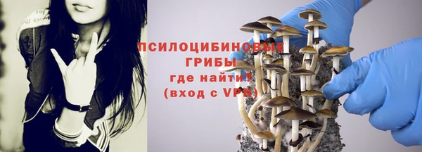 гидропоника Абинск