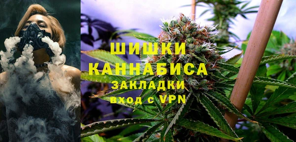 ПСИЛОЦИБИНОВЫЕ ГРИБЫ Абаза
