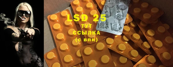 ПСИЛОЦИБИНОВЫЕ ГРИБЫ Абаза