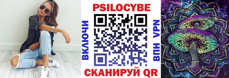 где купить наркотик  Старая Русса  Псилоцибиновые грибы прущие грибы 